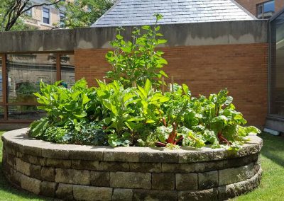 Commercial Planting