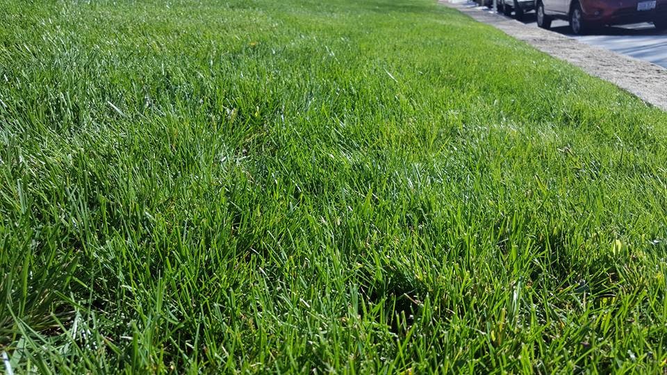 Garrick-Santo Landscape Co.