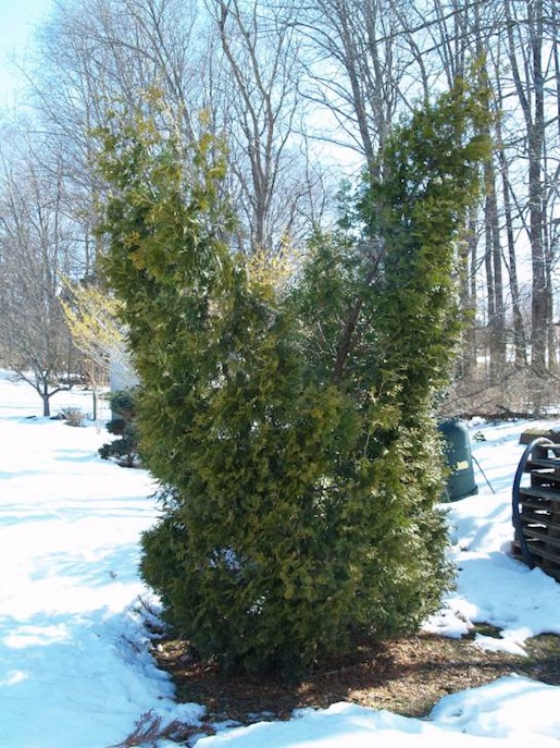 Garrick-Santo Landscape Co.