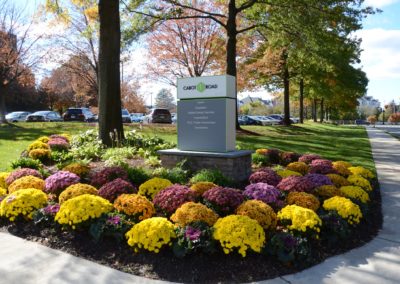 Commercial Planting