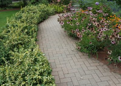 Softscape Design