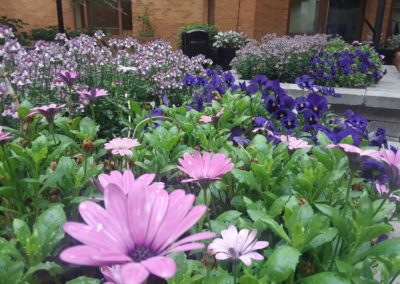 Commercial Spring Planting