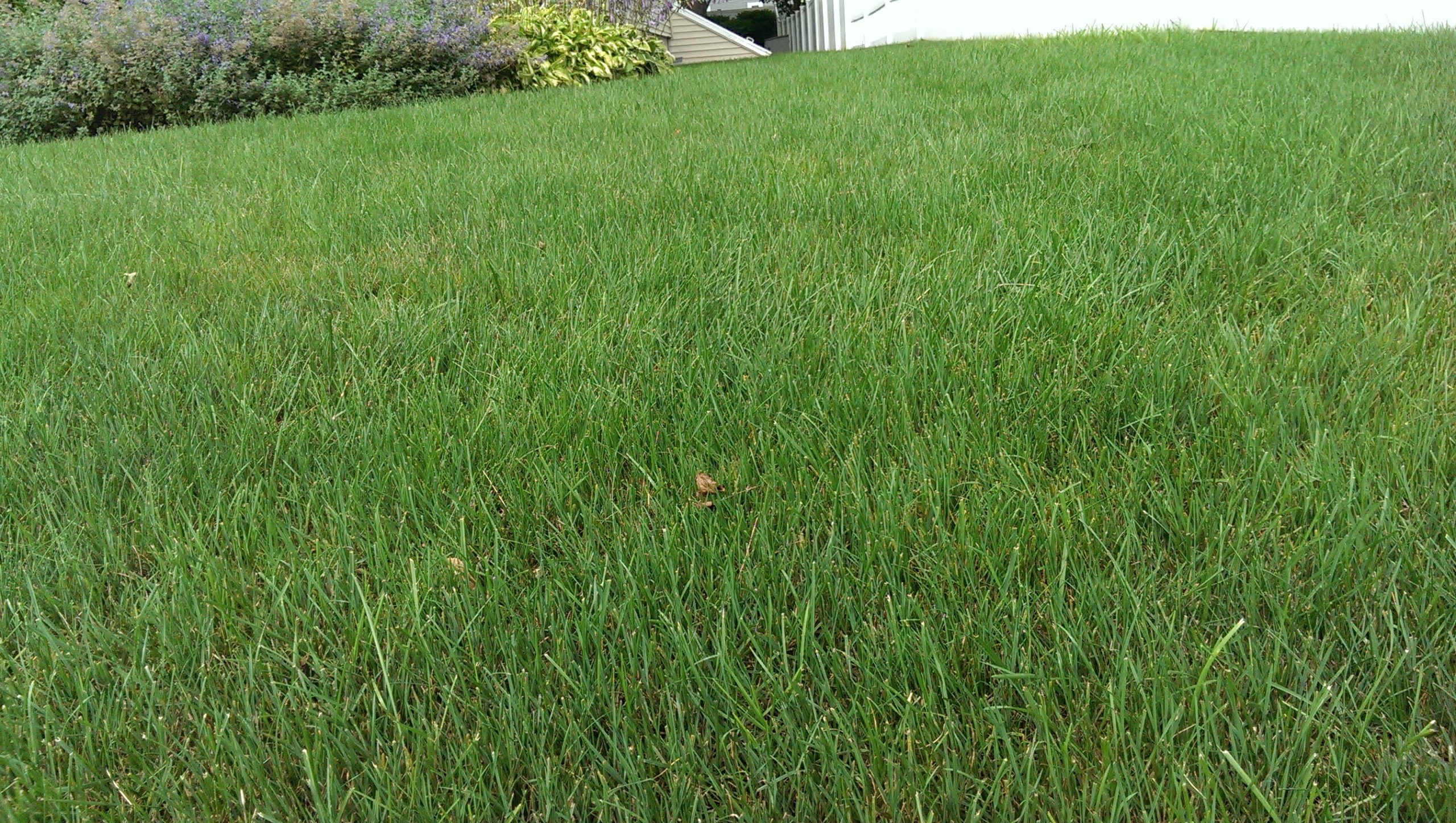 Garrick-Santo Landscape Co.