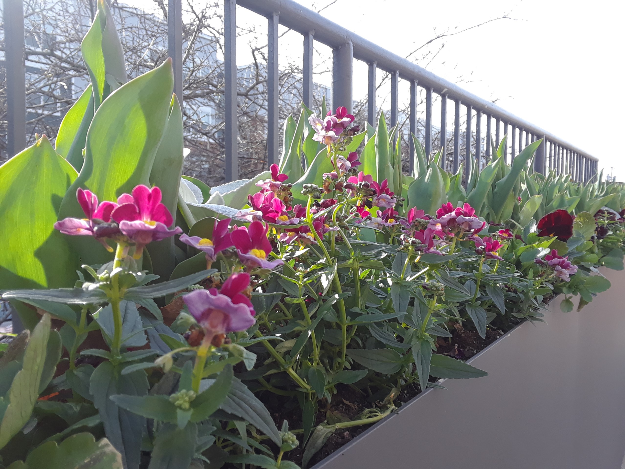 Garrick-Santo Landscape Co.