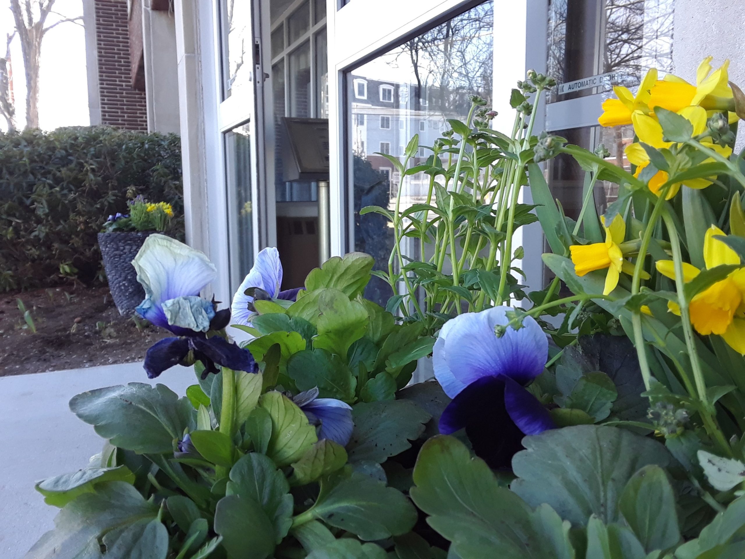Garrick-Santo Landscape Co.