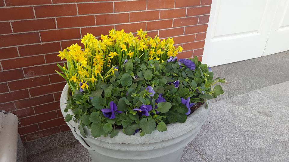 Garrick-Santo Landscape Co.