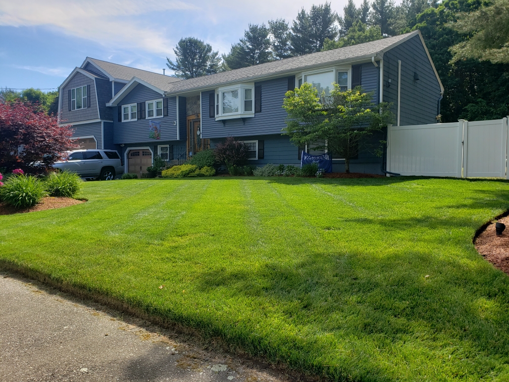 Residential Softscape Design