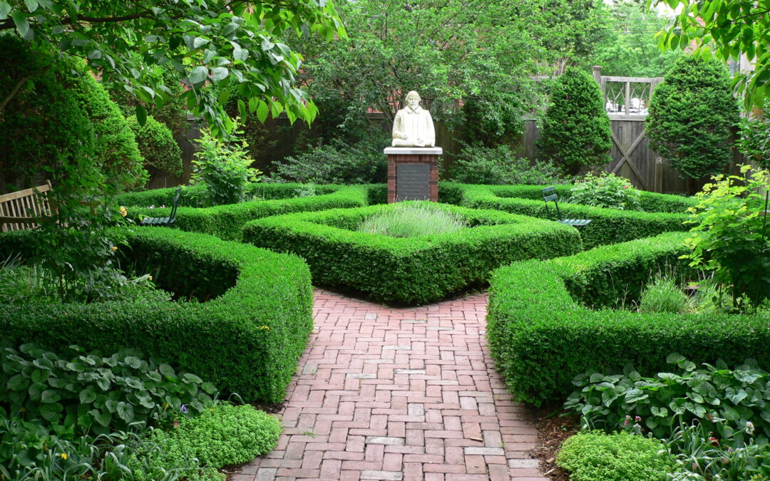 Plant of the Week: Boxwoods